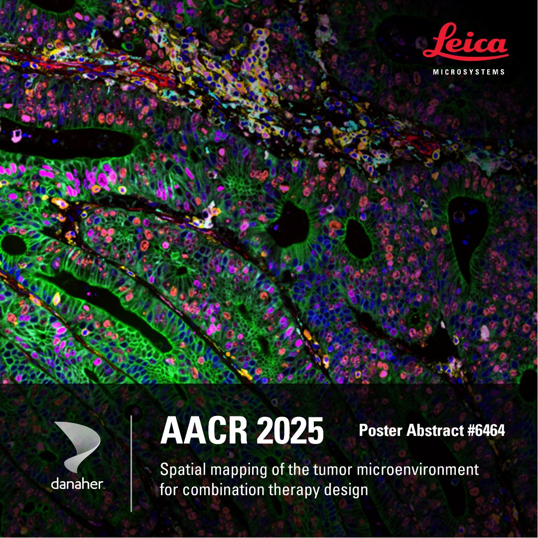 See how #CellDIVE multiplex imaging + #Aivia AI-powered analysis are used to map immune complexity in human colon adenocarcinoma, providing insights to predict responses to combination immunotherapies. fcld.ly/tm0mtub 📅 Apr 30, Section 2, Board 5, Abstract 6464 #AACR2025