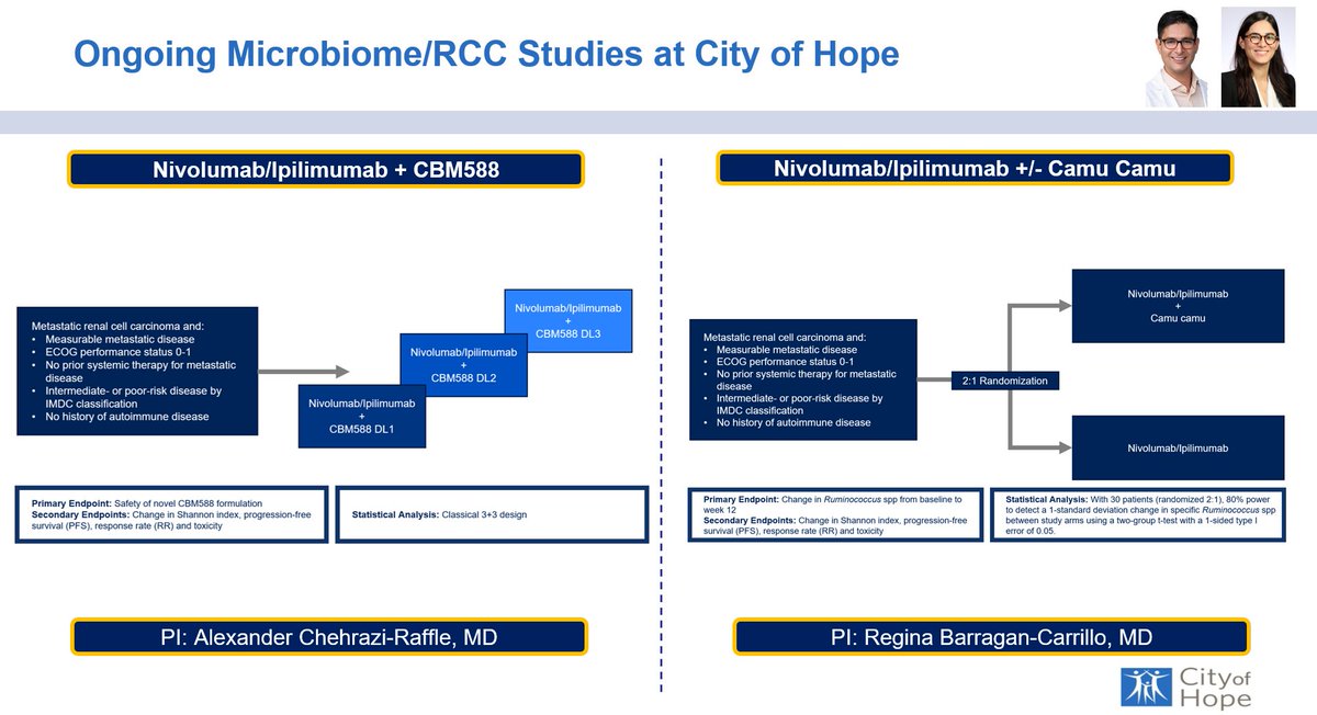 Sumanta K. Pal, MD, FASCO (@montypal) on Twitter photo I have been fielding a lot of calls from my #medonc colleagues around availability of #microbiome modulating studies for #kidneycancer at <a href="/cityofhope/">City of Hope</a> (in particular, #CBM588). The following are the two studies we have enrolling currently (limited slots remaining):
1. I have been fielding a lot of calls from my #medonc colleagues around availability of #microbiome modulating studies for #kidneycancer at <a href="/cityofhope/">City of Hope</a> (in particular, #CBM588). The following are the two studies we have enrolling currently (limited slots remaining):
1.