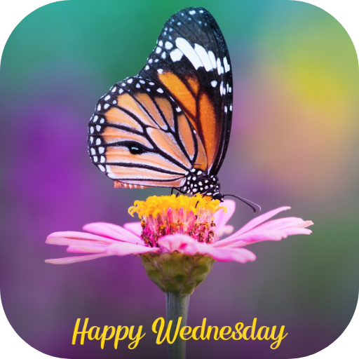 info-over-kanker (@infooverkanker) on Twitter photo 