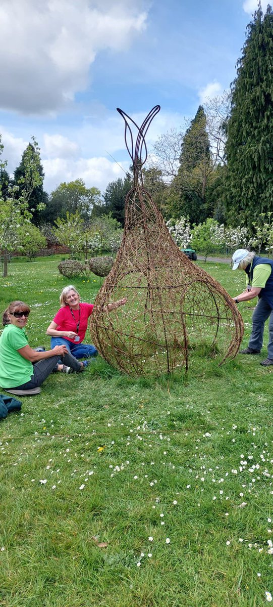 Our volunteers have been turning their hand to willow weaving to create this giant pear in the #gattonpark orchard. If you fancy joining our 100+ volunteers to play a part in the restoration of our historic site and make new friends, email us at volunteering@gatton-park.org.uk