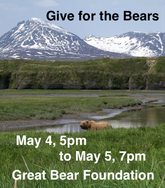 greatbearfnd's tweet photo. Our Spring Fundraiser Starts May 1! 🐻 - https://t.co/wWsoRLlFsL https://t.co/lnoOSBtLlF