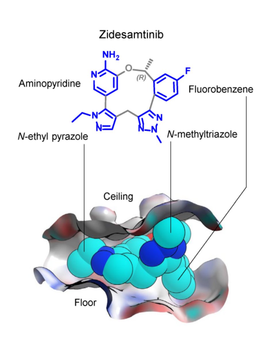 Online now! Simultaneous publication with an #AACR25 poster: Zidesamtinib Selective Targeting of Diverse ROS1 Drug-Resistant Mutations: doi.org/10.1158/1535-7…
<a href="/AACR/">AACR</a>