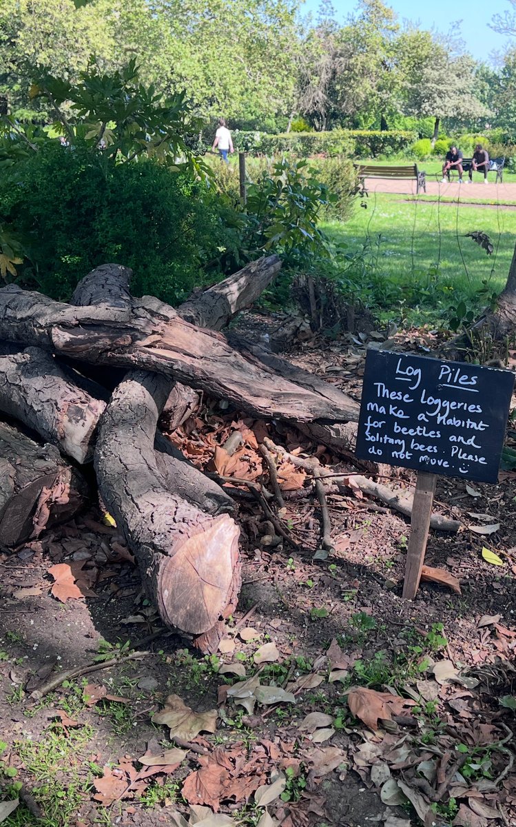 Came across this thoughtfully-planted area in Finsbury Park: dead- hedge borders &amp; planting for pollinators; done by volunteers of <a href="/FinsParkFriends/">Friends of Finsbury Park</a> #Rewilders group creating habitat for wildlife. So good to see such care &amp; love for our much-beleaguered  Park. NB <a href="/haringeycouncil/">Haringey Council</a>