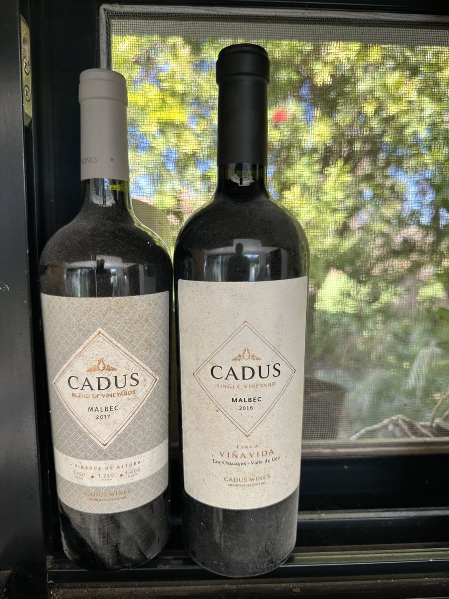 Desde los más profundo de la cava 

Gran Enemigo 16 / Enemigo Bonarda 17 <a href="/alevigilmalbec/">Alejandro Vigil</a> 

Cadus Viña Vida 16/ Cadus Blend 17

#cadus #nieto #malbec #mendoza #argentina #vinos