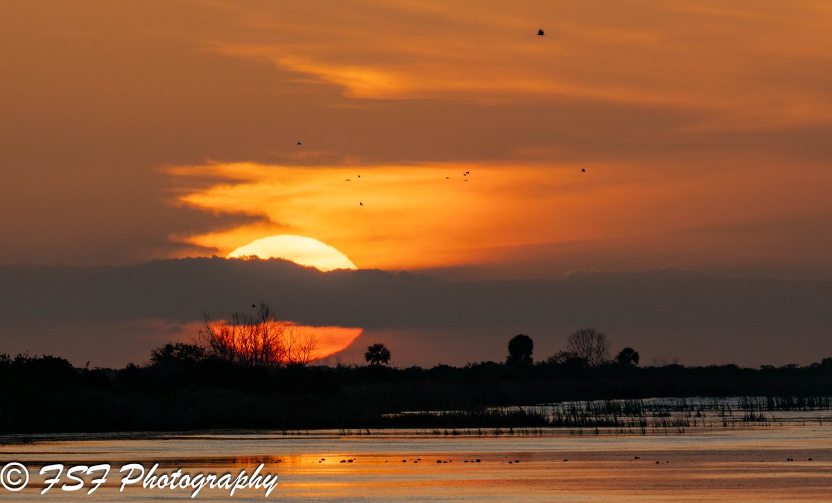 FsFphoto's tweet photo. I keep going back and forth in my head regarding which crop looks better. What are your thoughts and which are you drawn to?
#sunset #everglades #florida #nikoncreators #nikonphotography #nikonz8 #nikonlens #photography #photooftheday #photographer #beautiful #art #FsFPhotography https://t.co/K4tU09U2a2