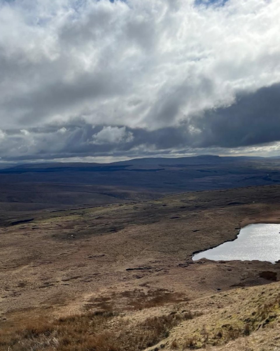 Pennine Flooring Supplies tweet media