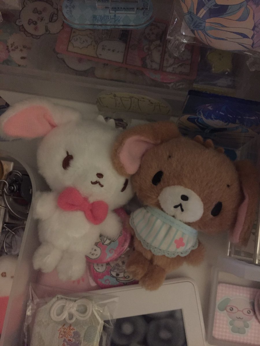 puppynao's tweet photo. #日常垢 #日常垢さんと繋がりたい #일상계트친소 #myroom https://t.co/NUcRinXB54