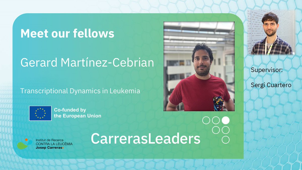 Carreras Leaders (@carrerasleaders) on Twitter photo Meet Gerard Martínez-Cebrián👨🔬
He studies transcription regulation in AML, uncovering the biology of its most commonly mutated genes, under the supervision of <a href="/sergicuartero/">Sergi Cuartero</a> at <a href="/CarrerasIJC/">Josep Carreras Leukaemia Research Institute (IJC)</a> .
Read about Gerard and his project: carrerasleaders.eu/postdoctoral-f…
<a href="/MSCActions/">Marie Skłodowska-Curie Actions</a> #bloodcancers Meet Gerard Martínez-Cebrián👨🔬
He studies transcription regulation in AML, uncovering the biology of its most commonly mutated genes, under the supervision of <a href="/sergicuartero/">Sergi Cuartero</a> at <a href="/CarrerasIJC/">Josep Carreras Leukaemia Research Institute (IJC)</a> .
Read about Gerard and his project: carrerasleaders.eu/postdoctoral-f…
<a href="/MSCActions/">Marie Skłodowska-Curie Actions</a> #bloodcancers