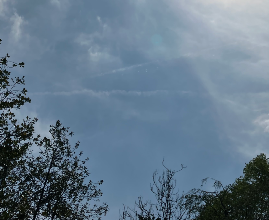 Here's a question for the chemtrail scientists.
What type is it that has budgie stabilisers but dissolves really quickly?😉