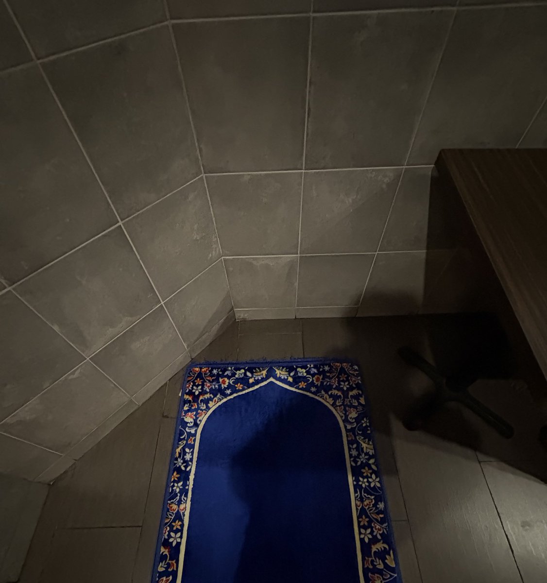 6 figs this month and can’t say this enough 

alhamdulillah