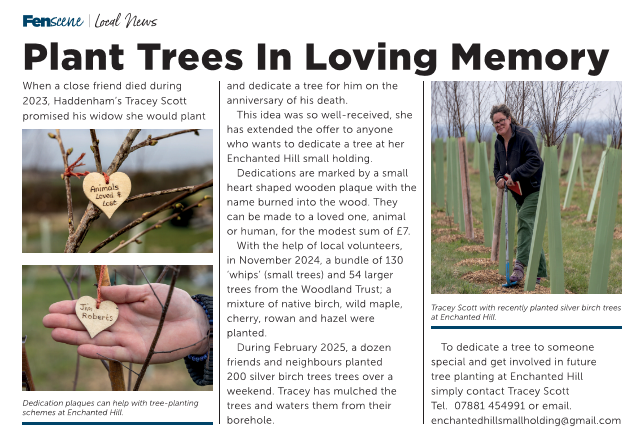 Dedication plaques help with tree-planting schemes at Enchanted Hill... 🌳🌳🌳

#Fenscene #DedicationPlaque #inmemory #PlantATree #Volunteering