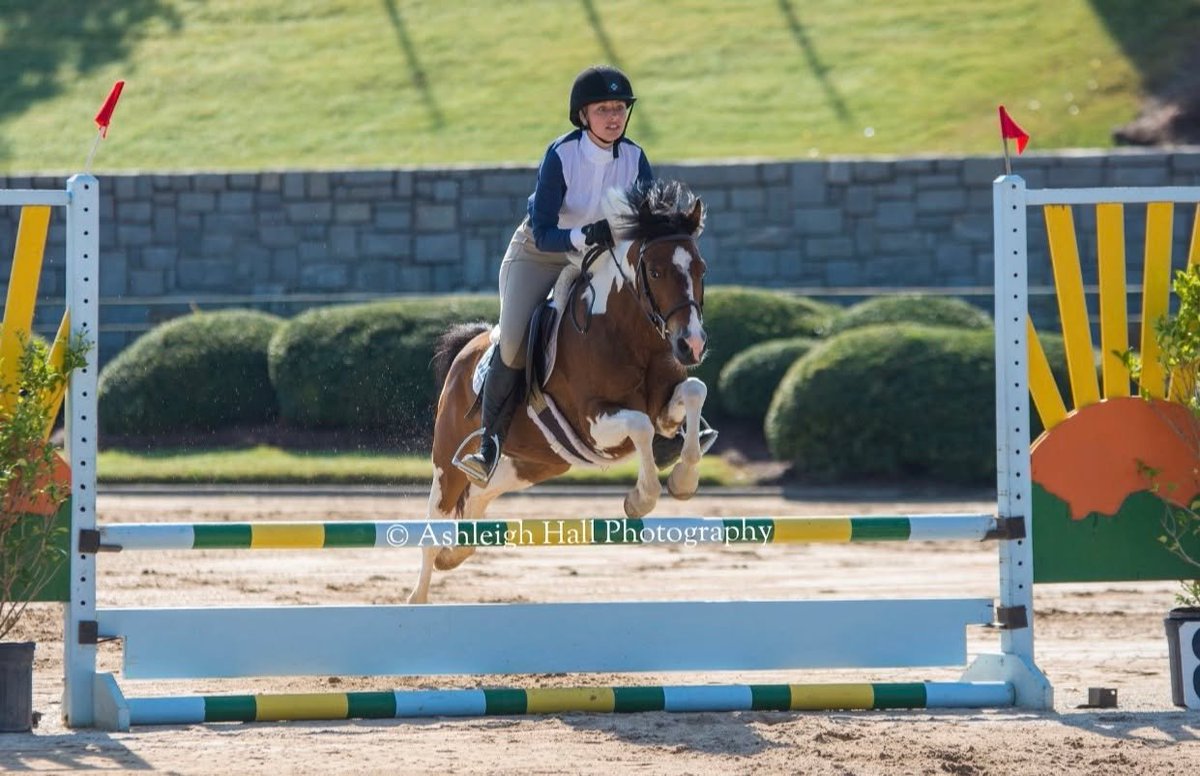 H. J. Fox Classics has 5 rings of Hunter/Jumper Competition from Leadline thru 1.25 meter. This event is open to the public free admission. Includes great competition over lovely jumps and courses, beautiful prizes and ribbons. 
For more information, visit hjfoxclassics.com