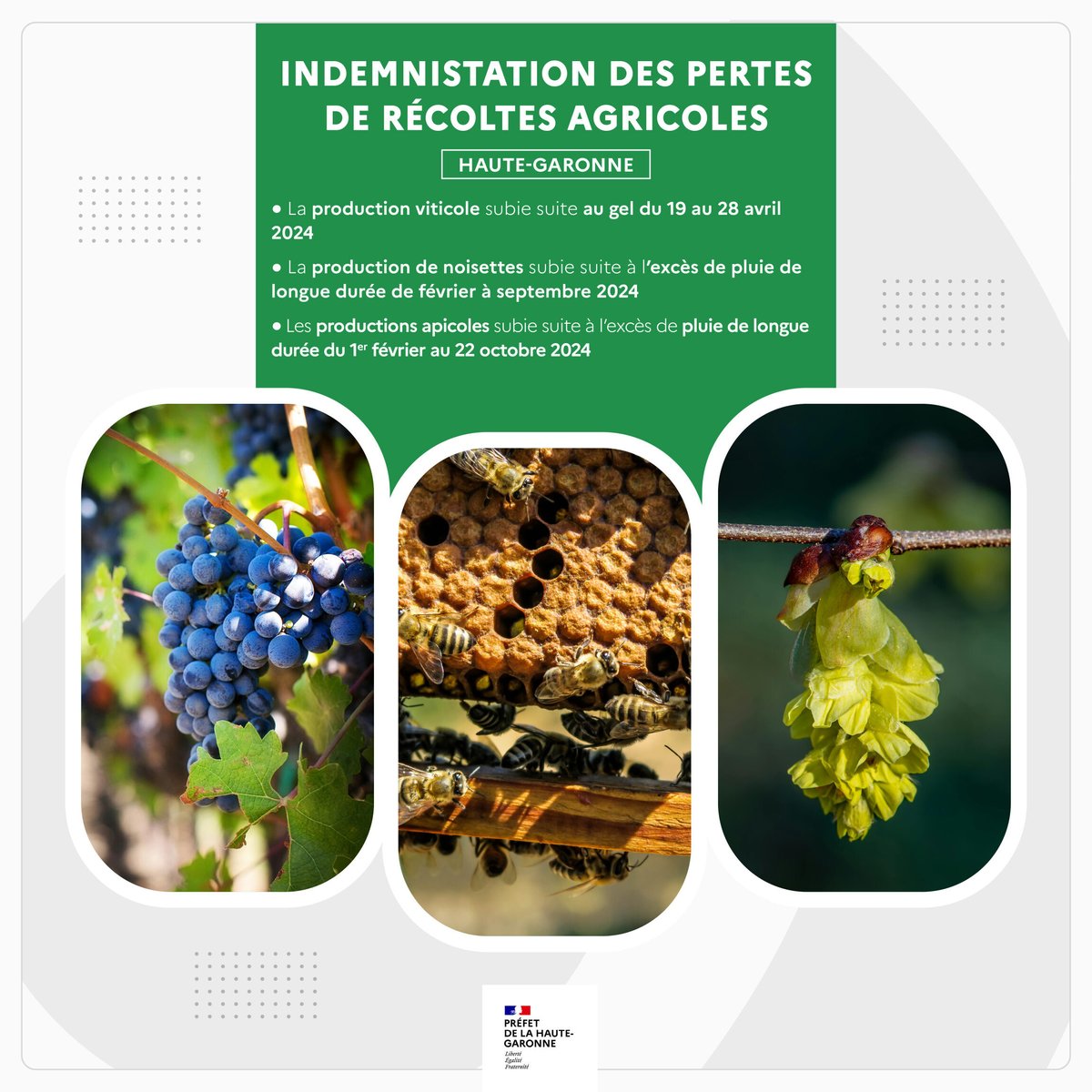 Image de Préfet d'Occitanie et de la Haute-Garonne