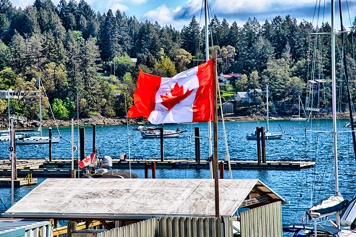 🇨🇦 True North Strong and Free 🇨🇦 #canada #elbowsup #madeincanada #buycanadian #flagaday