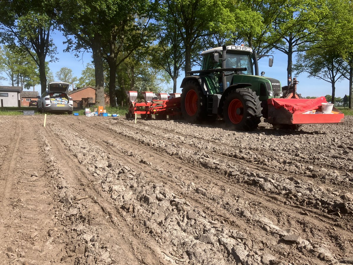 SUwland's tweet image. Drukte op de #proef en demovelden. Platform #Lelystad @WUR krijgt vorm en de volgende #maisrassen  demo er weer in! #mooiweervoor #onderzoek #kennis #Dekalb #corn @BayerCropNL #teambayerbenelux