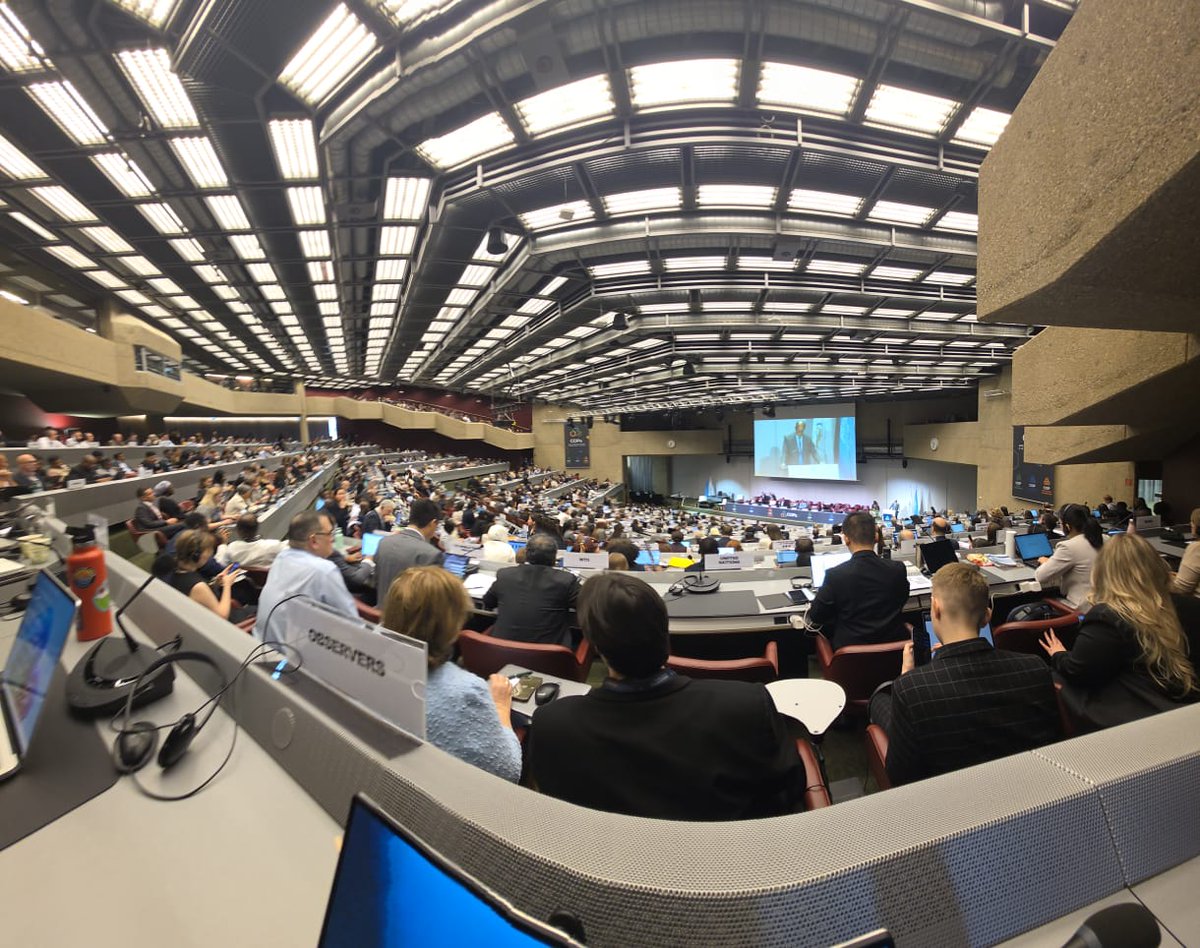 CasafeOk's tweet photo. Hacer visible lo invisible es hablar de la producción eficiente y sustentable. 🌱 Es encontrarnos y debatir sobre cómo vamos a construir el futuro que queremos. Estamos en el convenio de Rotterdam, participando activamente en debates claves para nuestro sector. Allí, se destacó la importancia de avanzar hacia un mundo con una producción más sustentable.

🇦🇷➡️ Argentina está presente con su delegación encabezada por Cancillería. Desde Casafe acompañamos al debate por una producción responsable, reafirmando nuestro compromiso con la sustentabilidad. 💪

#sustentabilidad #bpa #casafe #convenioderotterdam #rotterdam #cop #produccionagropecuaria #produccionresponsable #produccionsustentable