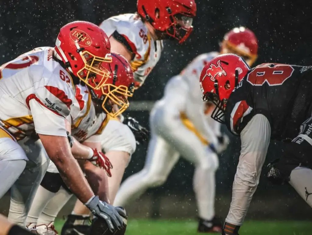 Arena Sport CEFL tweet media