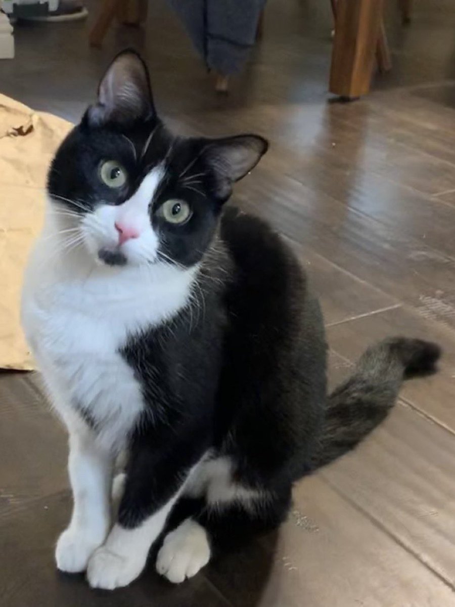 Follow Minnie and her siblings on Instagram. instagram.com/9251.minnie?ig…