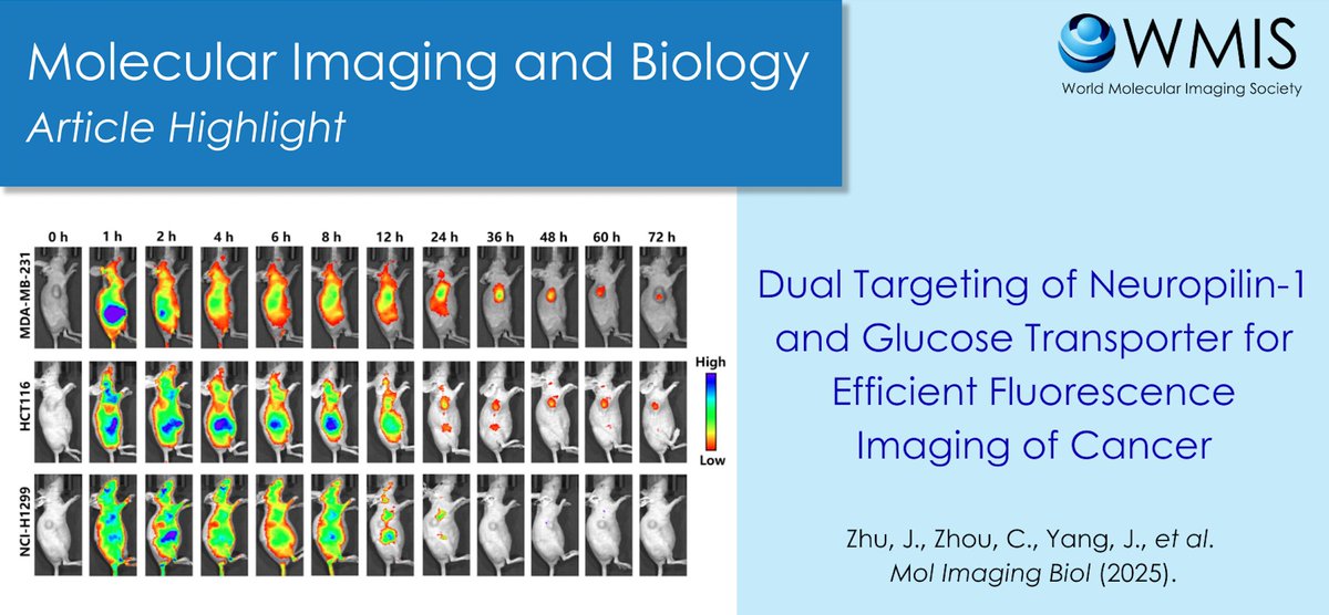 WMISWMIC's tweet photo. #MIBArticleHighlight: Zhu, et al. have synthesized a novel dual-targeted probe for NRP1 and GLUT1 fluorescence imaging in tumors.
Read more here! https://t.co/pVfVBsEZMy
#MolecularImagingAndBiology #MIB #WMIS https://t.co/eOGK5c1Jwg