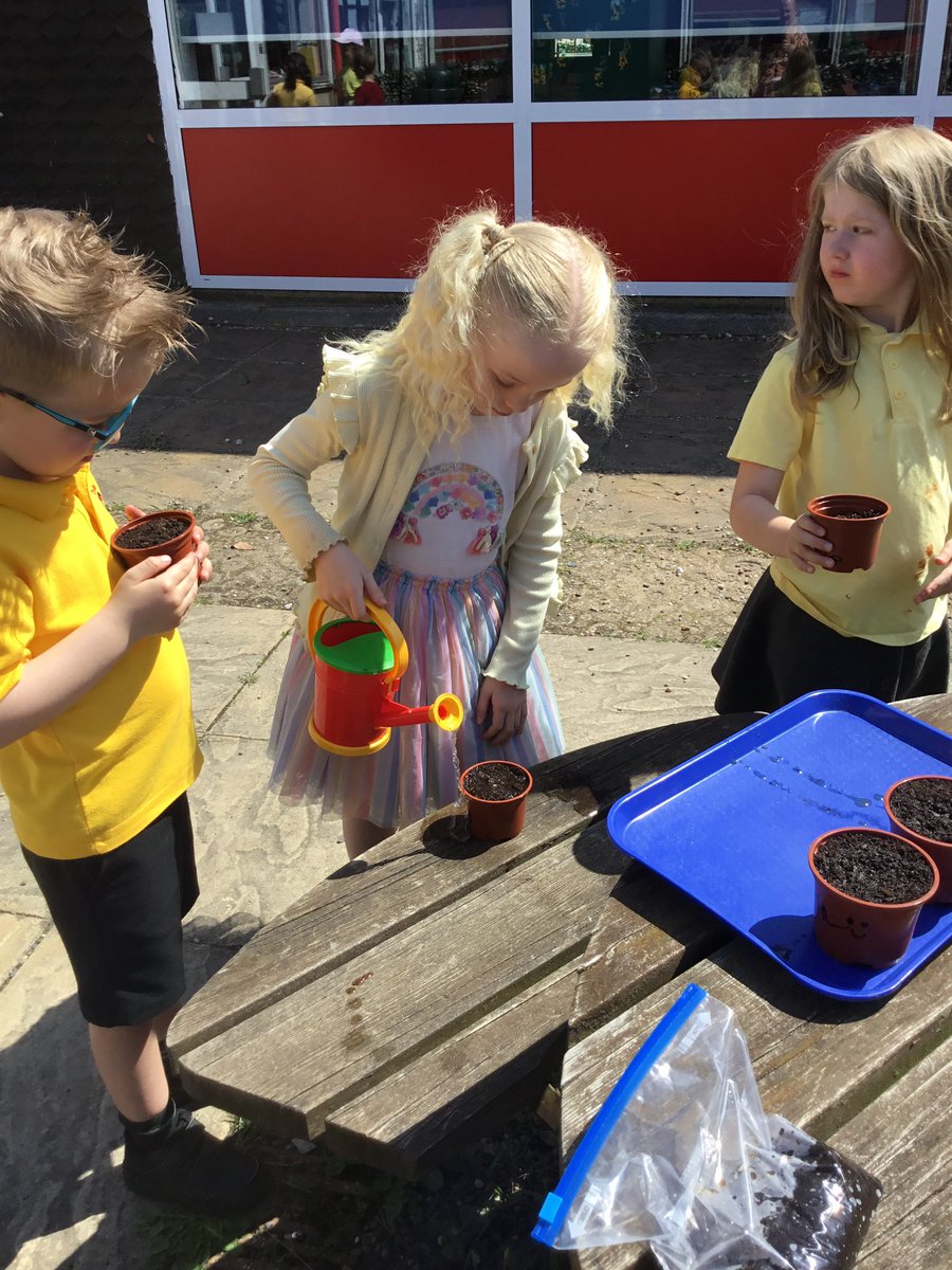 FPS - Dosbarth Miss Shillam (Year 2/Blwyddyn Dau) tweet media