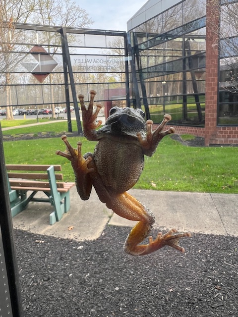 Cuyahoga Valley Career Center tweet media