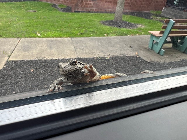 Cuyahoga Valley Career Center tweet media