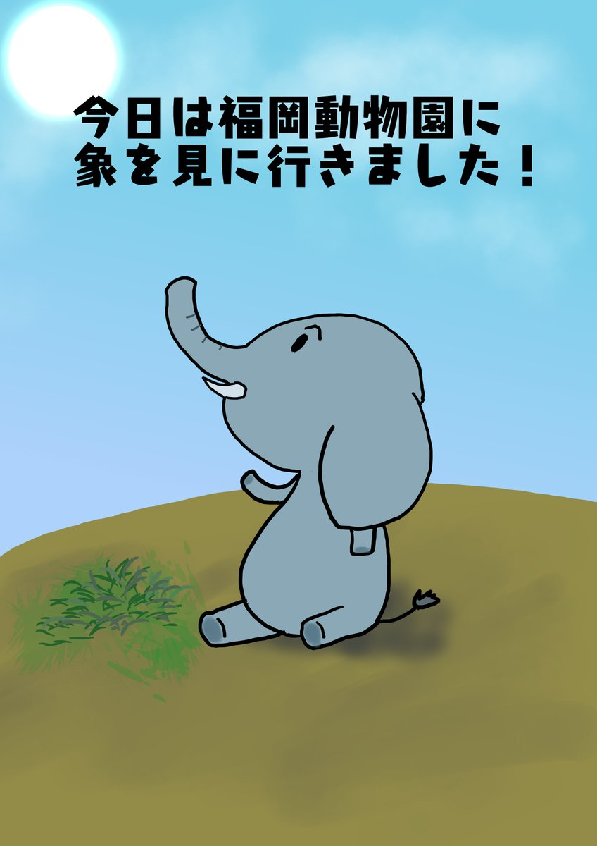 今晩は！今日は久しぶりに象を見に動物園に行ってきました！
4頭きたらしいのですが１頭は病気で亡くなってました
４頭そろって見たかったですね