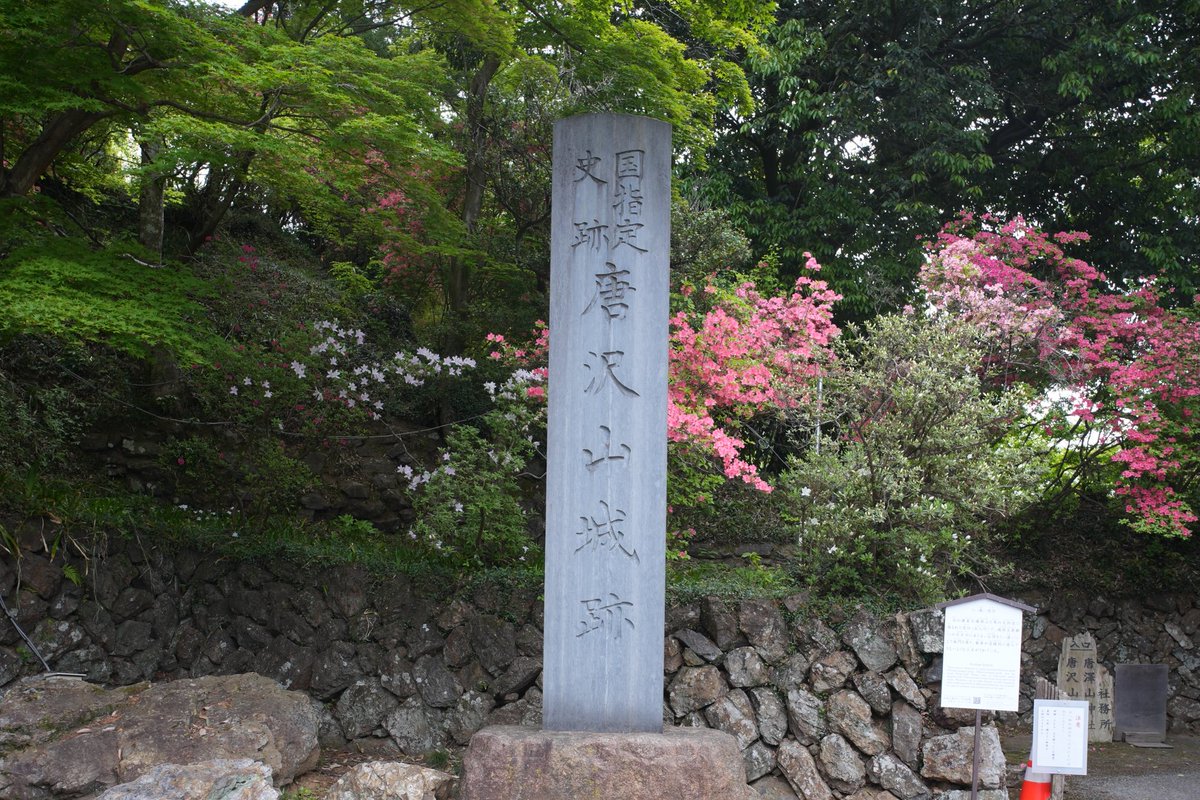 roy_com's tweet photo. #唐沢山城
#続日本100名城 https://t.co/VaeqjqbjEH