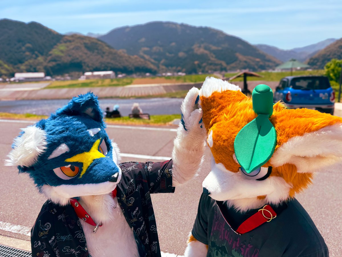 Ryusuke 🐱🐱 🔜 HiFurry, IWAG (@Ryusuke6351) / X Ryusuke 🐱🐱 🔜 HiFurry, IWAG (@Ryusuke6351) / X