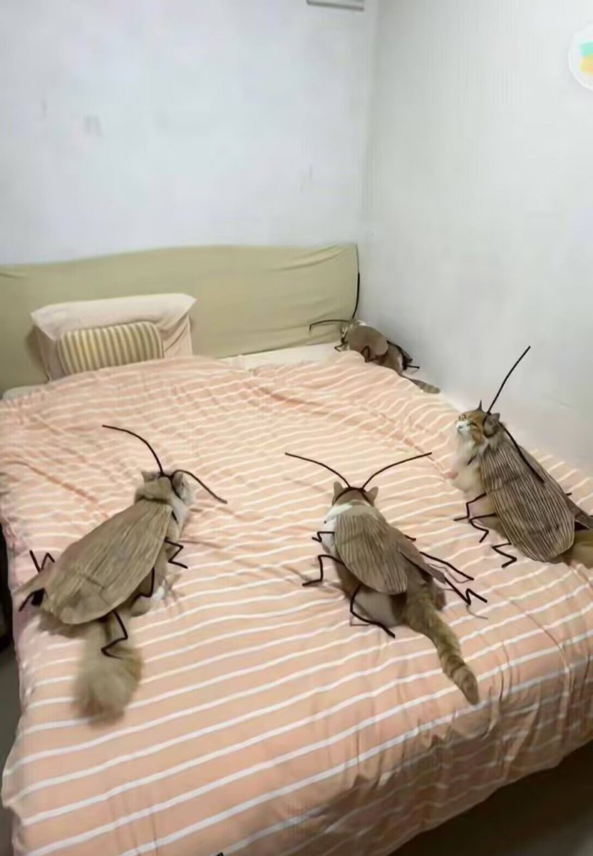 hsn (@hsn8086) on Twitter photo 