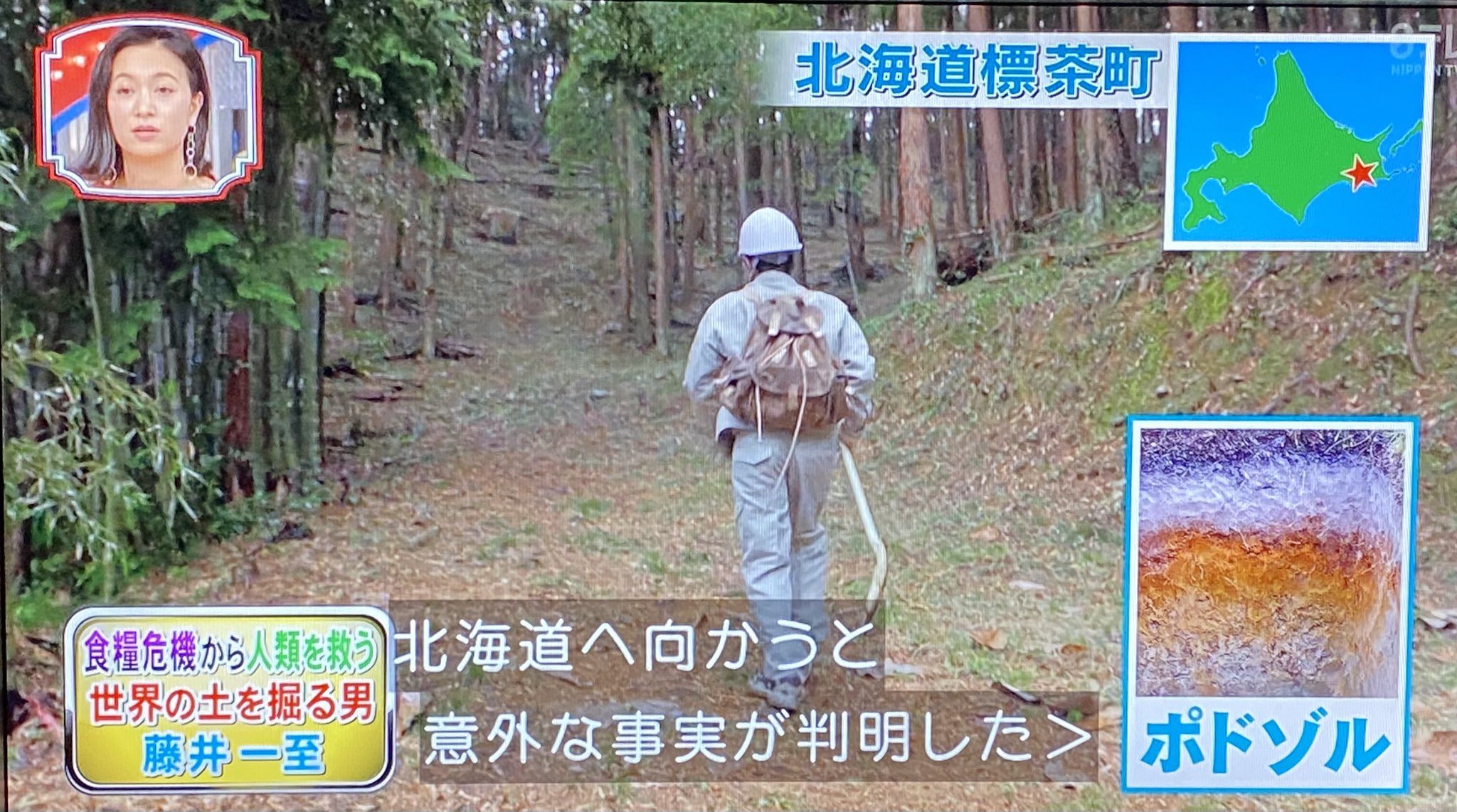 小麦さん専用　値下げしました　微生物利用の大展開 Posts with replies by MAKOTO ICHIKAWA (@MK_ICHIKAWA) / X