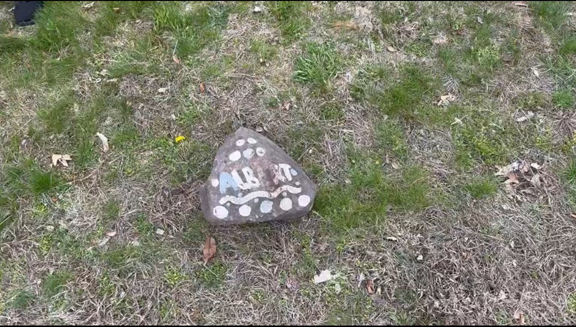 Aidan Kearney tweet media