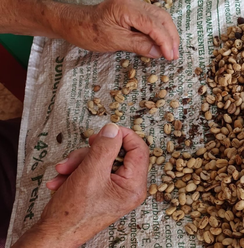 Lina María Velásquez tweet media