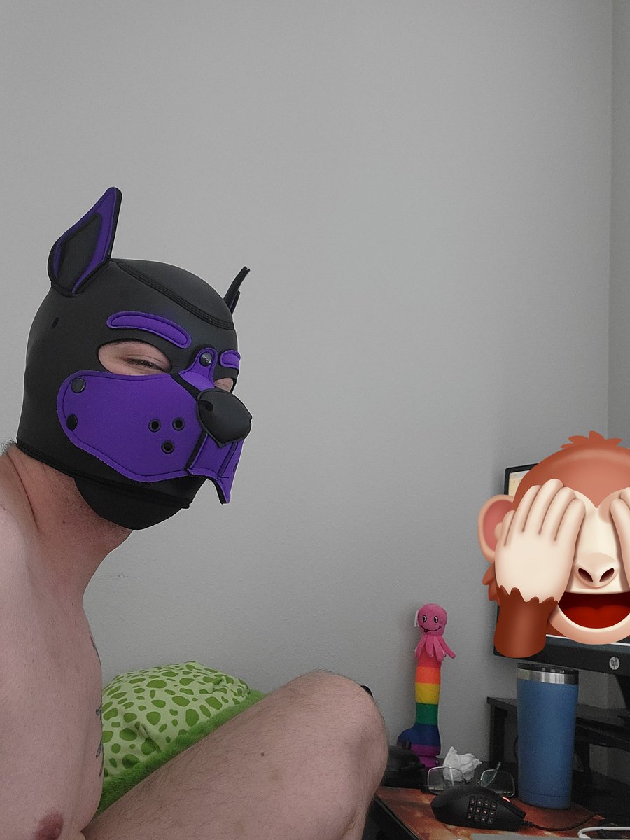 Got to be a good working pup by working from home yesterday.