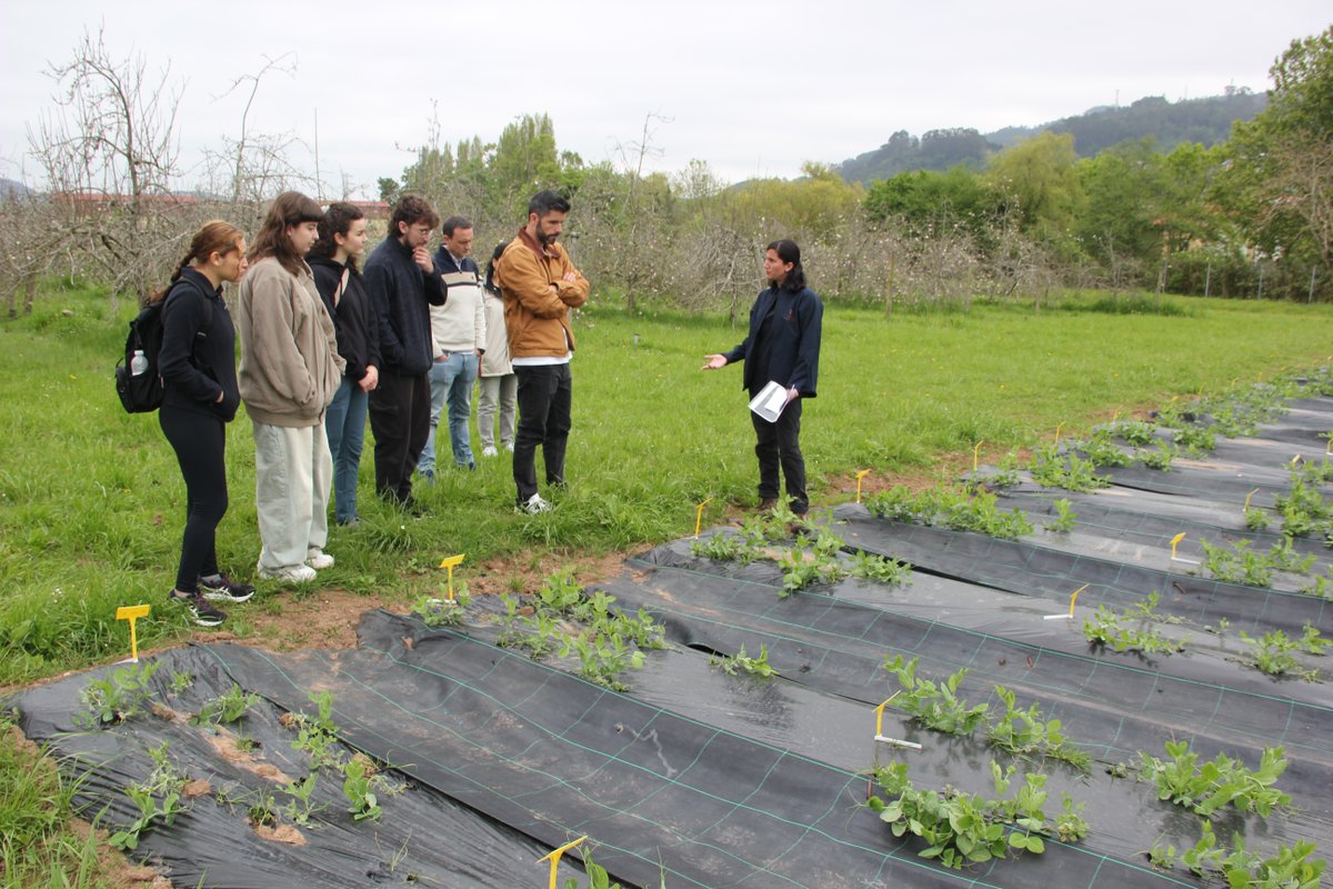 El viernes recibimos a los alumnos de Biología de la Universidad de Oviedo. ✅

Como la visita la hacían a través de la asignatura de Fisología Vegetal, estuvieron conociendo los programas de genética vegetal, forestal, fruticultura y fitopatología. 

¡Encantados de recibiros! 💘