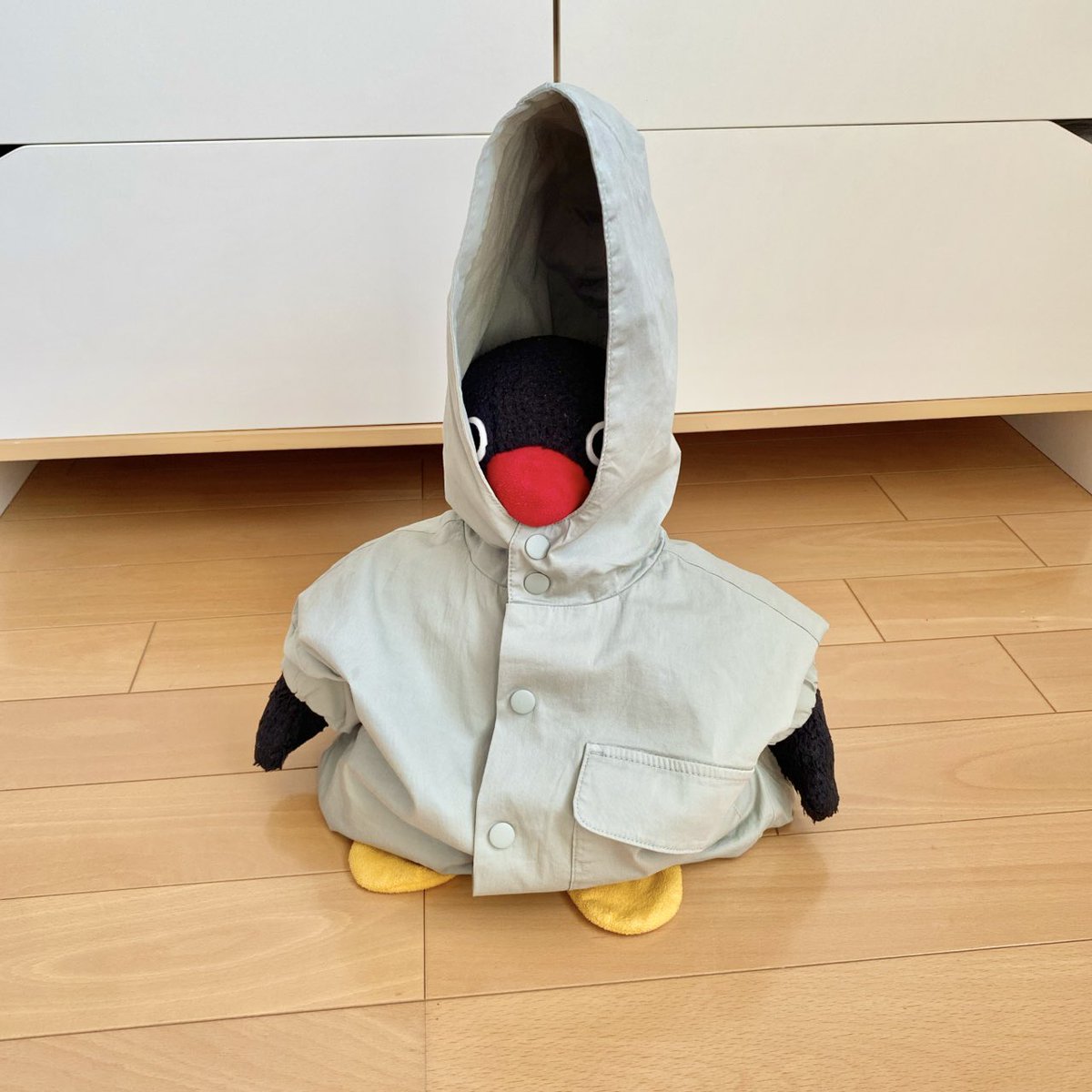 pingmyping's tweet image. 🐧💨