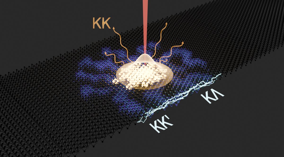 📝ICFO researchers, in an international collaboration, present a novel technique to track bright and dark excitons, the energy carriers in optoelectronic and photovoltaic materials, at room temperature.

🔗Study in <a href="/NanoLetters/">Nano Letters</a>
ICFO News👉bit.ly/3GHVJ28

#ICFOCleanPlanet
