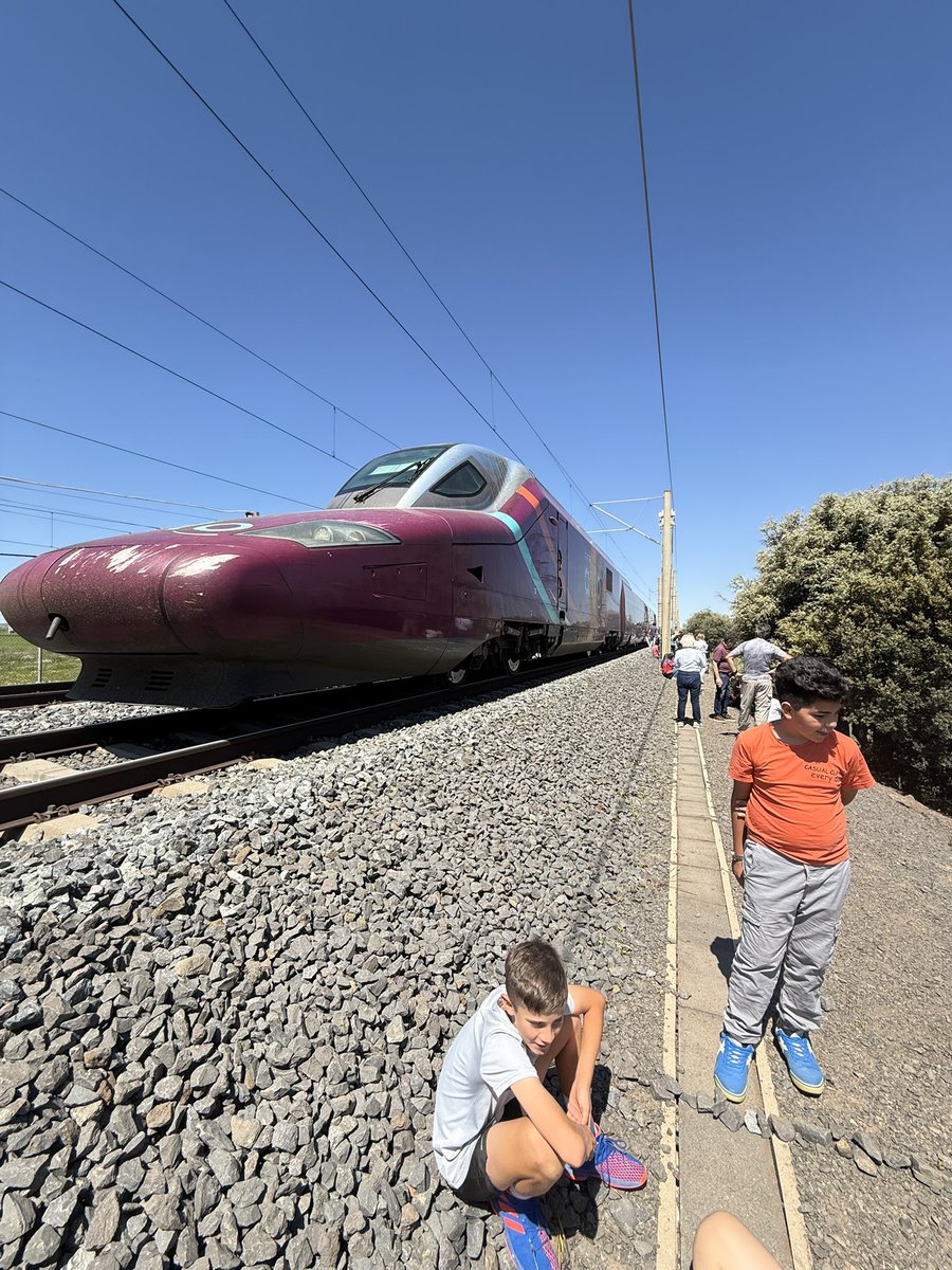 MashaAlma tweet media