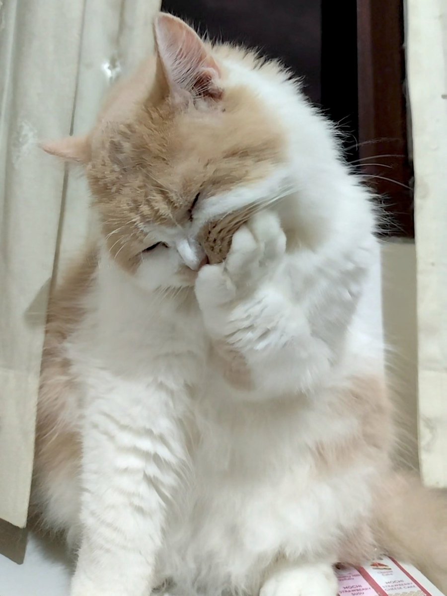 Ak ktika mlihat notif wang gajian msup :