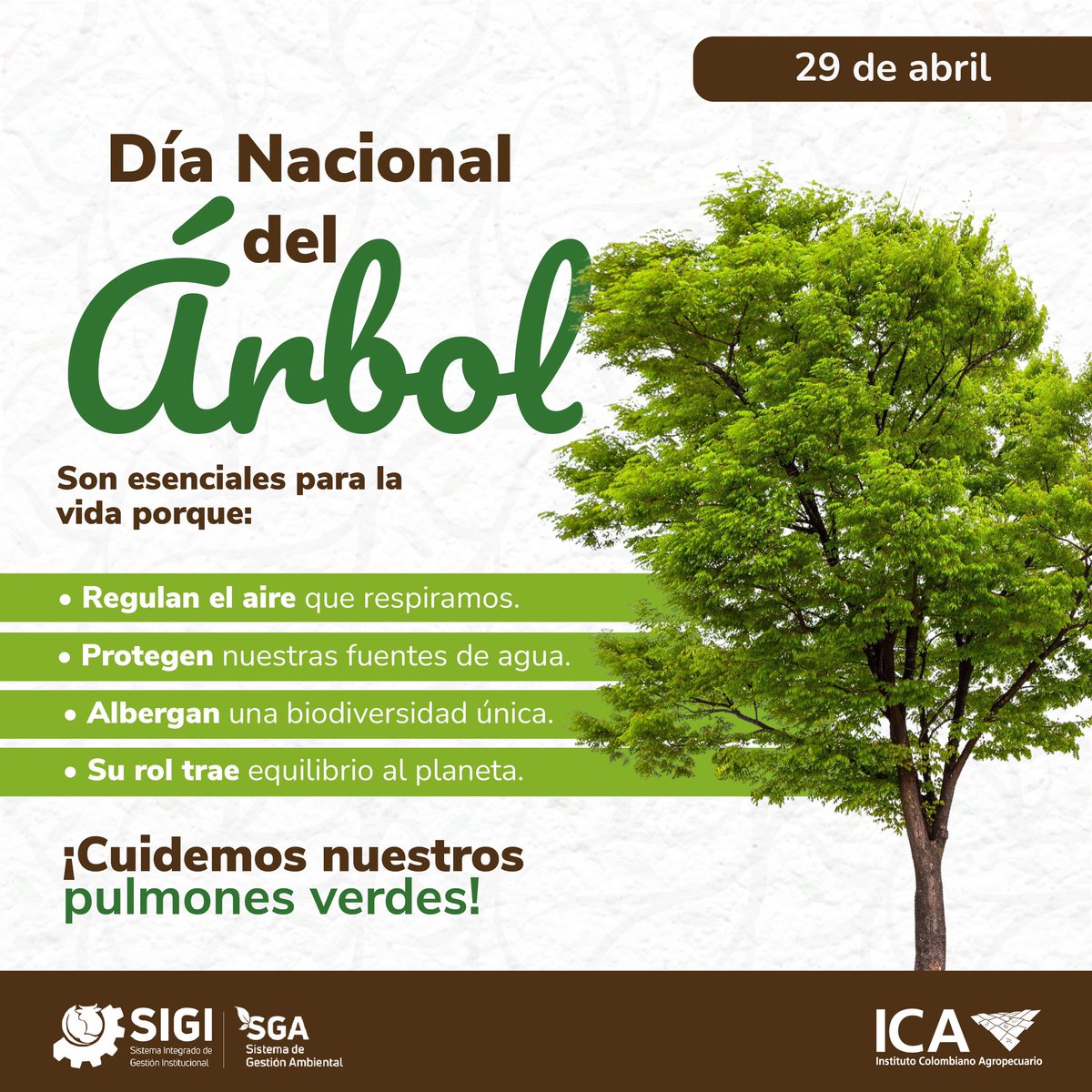 Los árboles no solo embellecen nuestros paisajes 🌿, sino que desempeñan un papel crucial en la sostenibilidad de nuestro entorno.

Al protegerlos, estamos asegurando un futuro más saludable 🌿💚 para las generaciones venideras.

#ICAColombia #DíaNacionalDelÁrbol