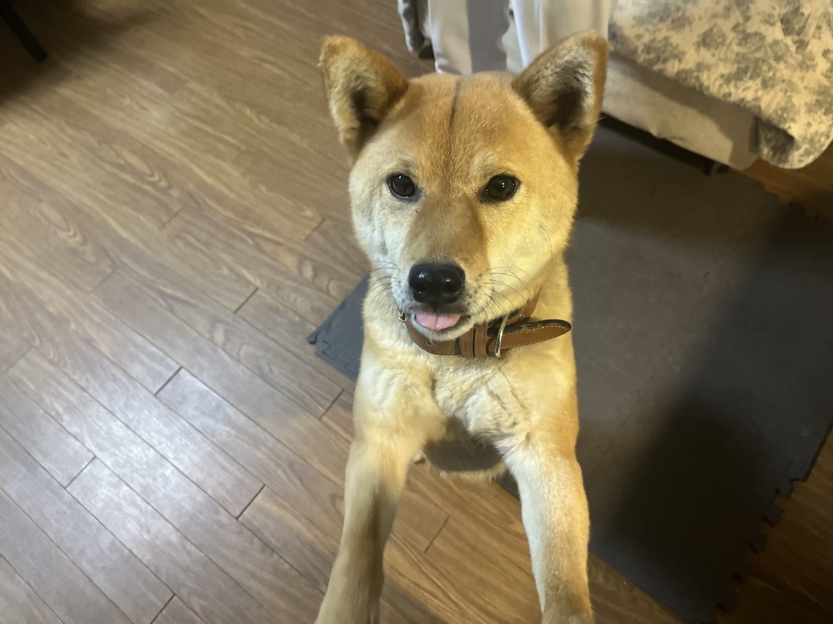 🌞 (@poprisun) on Twitter photo 