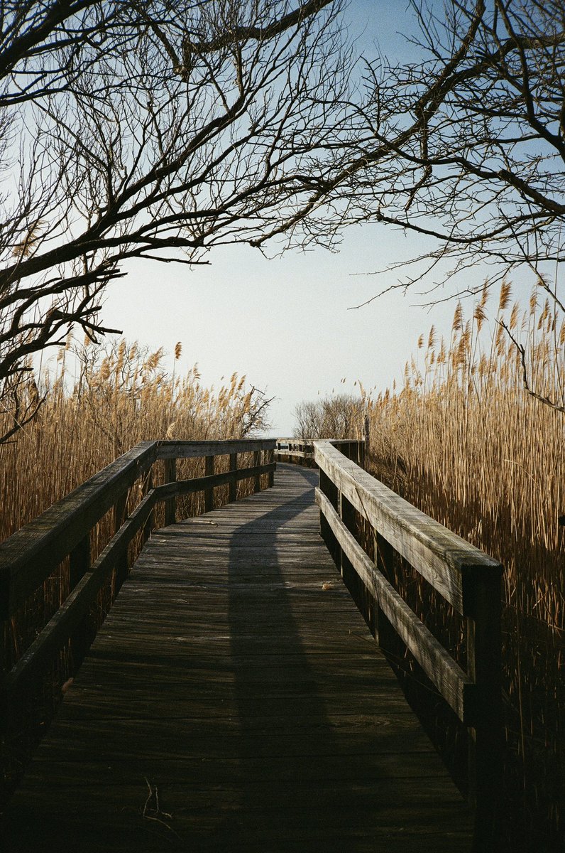 fire island, NY