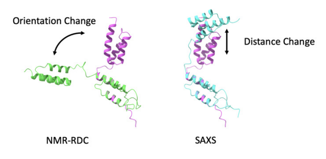 35 teams, 10k structures later ... not one model could predict how a 6-aa linker positions two rigid domains. 

CASP16’s SAXS + RDC benchmark exposes the “dynamics gap” left by AlphaFold-era models — and calls for continuous SE(3) ensembles. 

Which next-gen BioAI will finally