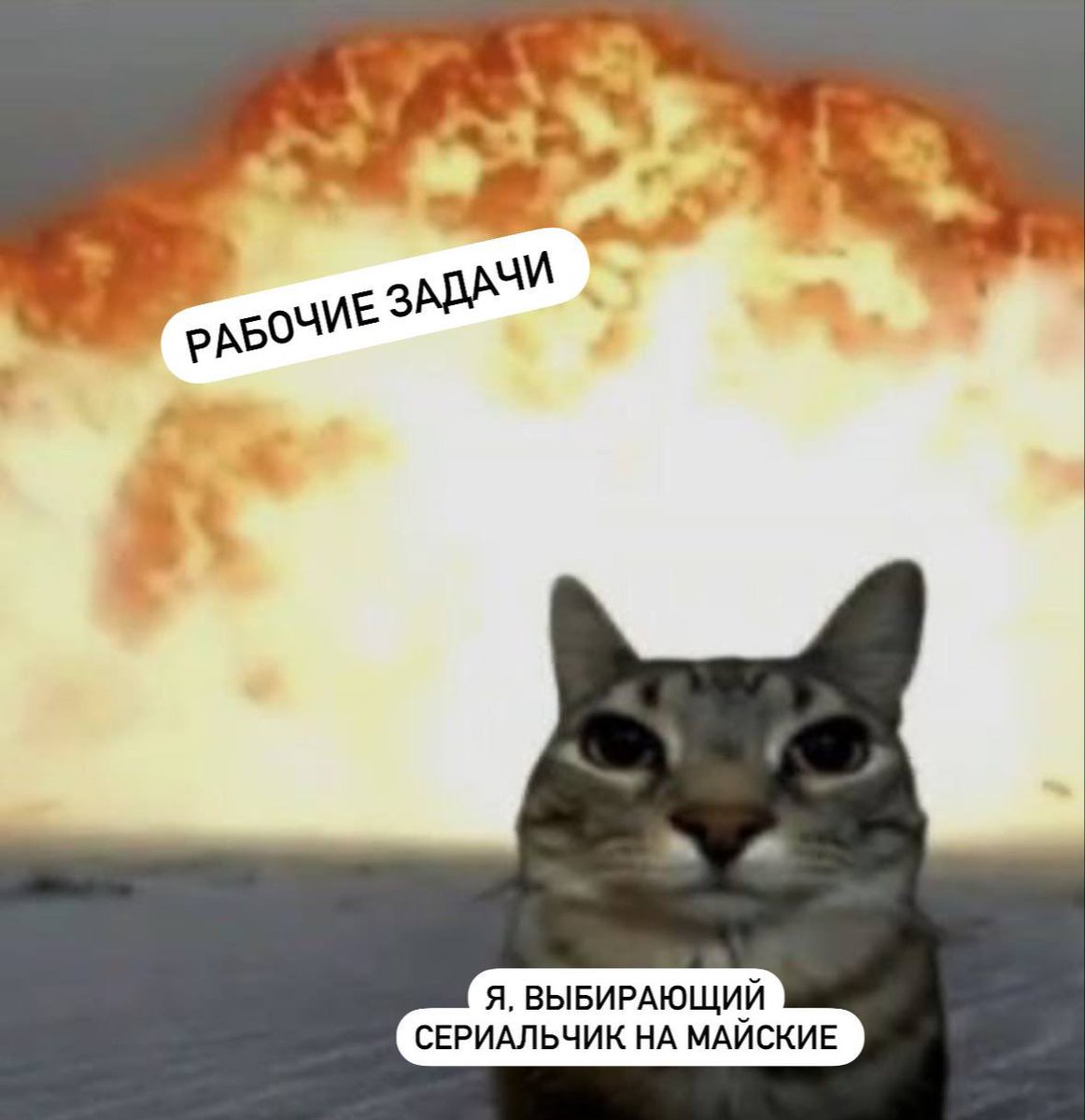 Извините, но тратить выходные на выбор сериала, это перебор…