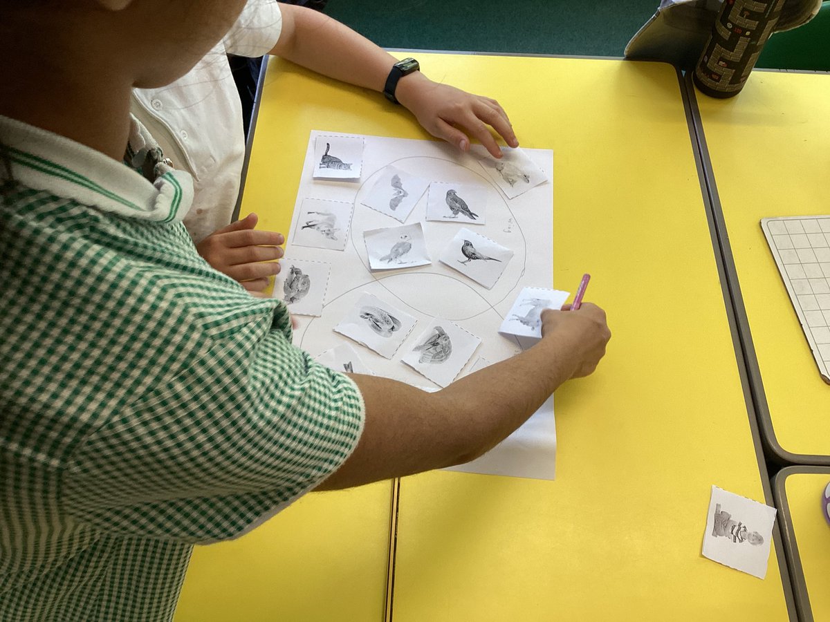 whcps's tweet photo. Year 4 have been learning about taxonomists and have been sorting and classifying different animals using Venn and Carroll Diagrams ππΏοΈππππ #whcyear4 #whcscience https://t.co/iL2LUAMFuw