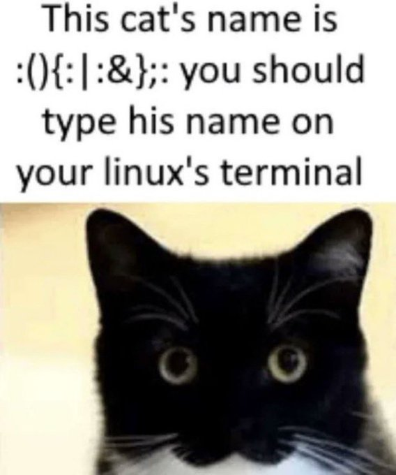 Silvr!!!! (@nitronia7274) on Twitter photo 