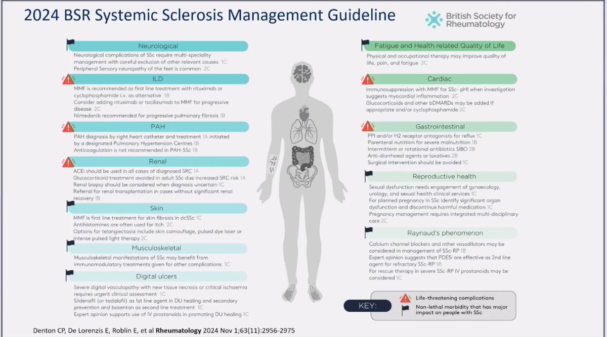 Systemic Sclerosis Management Guideline Summary [Prof Denton, #BSR25 #Rheumatology #MedTwitter ] 👇