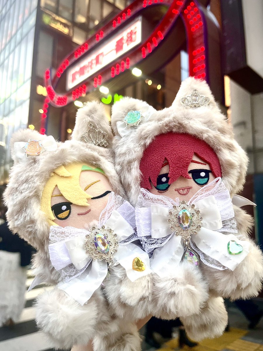 Crescent_Avalon's tweet image. どぽぬい、ひふみぬいと麻天狼優勝見てきた〜！！しっぽもあるんだ…🫶
かわいい、、かわいいよ🥹