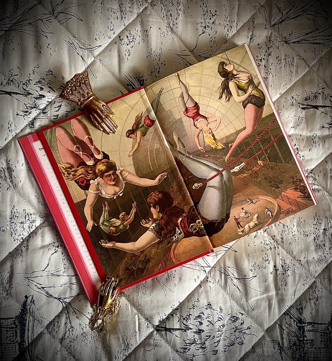 Dan-📚Bookseller/BookBlogger📚 (@dman1504) on Twitter photo 🎪 Dear reader, my review of the beautiful #TheShowWoman by <a href="/emmacowing/">Emma Cowing</a> is now available over on my instagram! 🎪
Absolutely stunning from start to finish, and would you look at those endpapers?! Ugh 😩 💖
Publishing this Thursday by <a href="/HodderBooks/">Hodder & Stoughton (no longer active)</a>
#BookReview #books #Book 🎪 Dear reader, my review of the beautiful #TheShowWoman by <a href="/emmacowing/">Emma Cowing</a> is now available over on my instagram! 🎪
Absolutely stunning from start to finish, and would you look at those endpapers?! Ugh 😩 💖
Publishing this Thursday by <a href="/HodderBooks/">Hodder & Stoughton (no longer active)</a>
#BookReview #books #Book