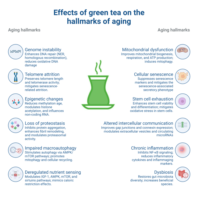 Siim Land tweet media